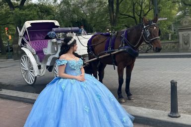 Scenic Horse Carriage Rides to Central Park, Rockefeller & Times Square image 6
