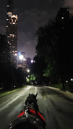 Scenic Horse Carriage Rides to Central Park, Rockefeller & Times Square image 16