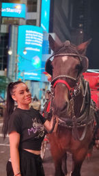 Scenic Horse Carriage Rides to Central Park, Rockefeller & Times Square image 18