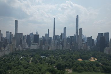 Scenic Horse Carriage Rides to Central Park, Rockefeller & Times Square image 8