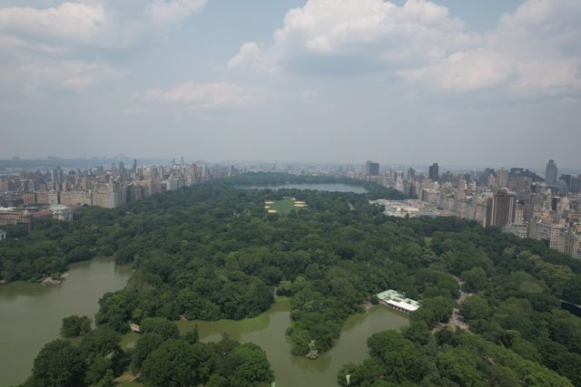 Scenic Horse Carriage Rides to Central Park, Rockefeller & Times Square image 5