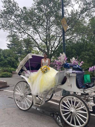 Scenic Horse Carriage Rides to Central Park, Rockefeller & Times Square image 11