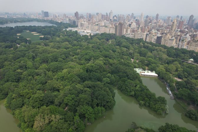 Scenic Horse Carriage Rides to Central Park, Rockefeller & Times Square image 9