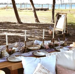 Bridgerton Inspired Luxury Picnic with Complete Setup at Location of Your Choice image 6
