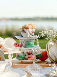 Bridgerton Inspired Luxury Picnic with Complete Setup at Location of Your Choice image 5