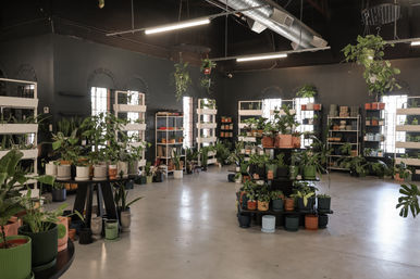 Private Pilates Events at Desert Bloom Pilates & Boutiques image 4