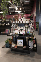 Private Pilates Events at Desert Bloom Pilates & Boutiques image 5