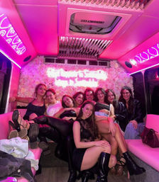 The BYOB Drag Queen Party Bus Tampa: The Ultimate Drag Experience (Up to 40 People) image