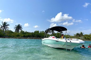 Private Party Cruise: Nauticstar Dream Boat  image 4