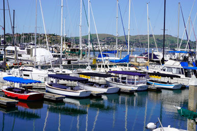 Stylish Electric Duffy Boat Rental: Cruise the Stunning Sausalito Coastline with Your Crew image 9
