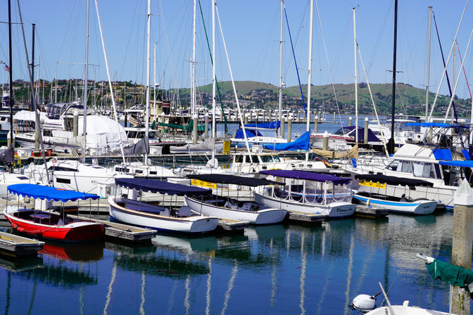 Stylish Electric Duffy Boat Rental: Cruise the Stunning Sausalito Coastline with Your Crew image 9
