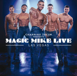 Party Package: Limo Pickup, Luxury Dinner, Magic Mike Live, and TAO Nightclub Open Bar image 5