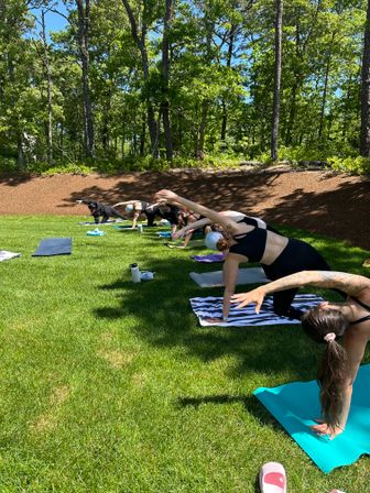 Private Yoga Class In Studio or Off-Site Beach, AirBnb, etc. image 5