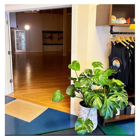 Private Yoga Class In Studio or Off-Site Beach, AirBnb, etc. image 2