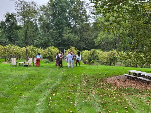 Vineyard Voyages: The Ultimate Virginia Wine Day image 14