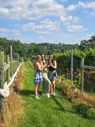Vineyard Voyages: The Ultimate Virginia Wine Day image 5
