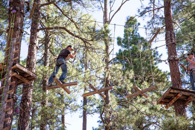 Treetop Adventure Course and Zipline Experience in Flagstaff image 3
