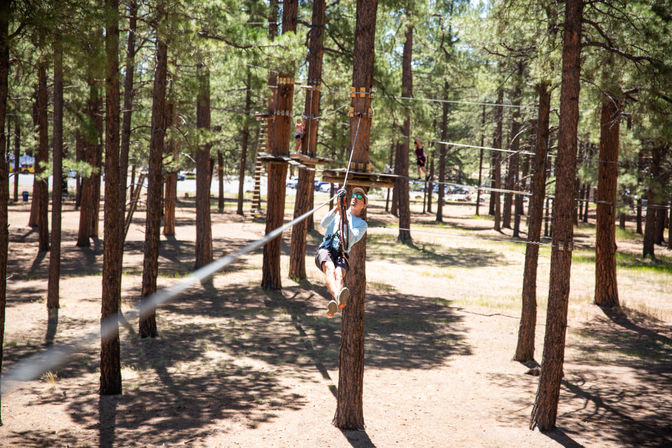 Treetop Adventure Course and Zipline Experience in Flagstaff image 7
