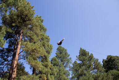 Treetop Adventure Course and Zipline Experience in Flagstaff image 8