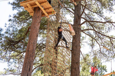 Treetop Adventure Course and Zipline Experience in Flagstaff image 6