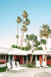 The Muse Hotel: Chic Palm Springs Stay with Stylish Rooms & Courtyard Pool image 29