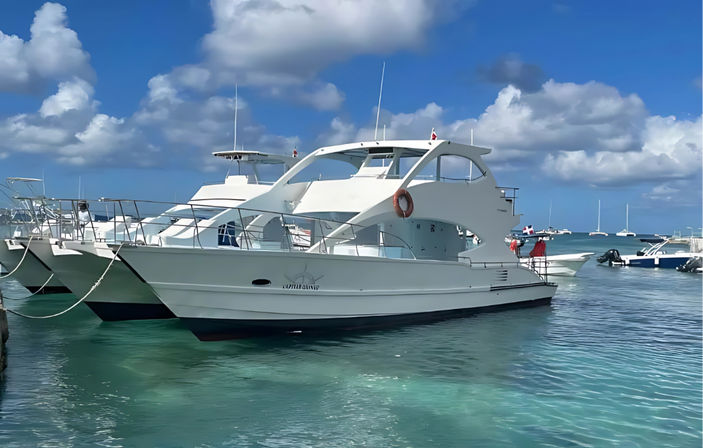 Full-Day All-Inclusive Private Catamaran Adventure to Saona Island image 3