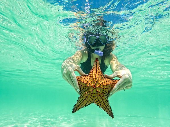 Full-Day All-Inclusive Private Catamaran Adventure to Saona Island image 2