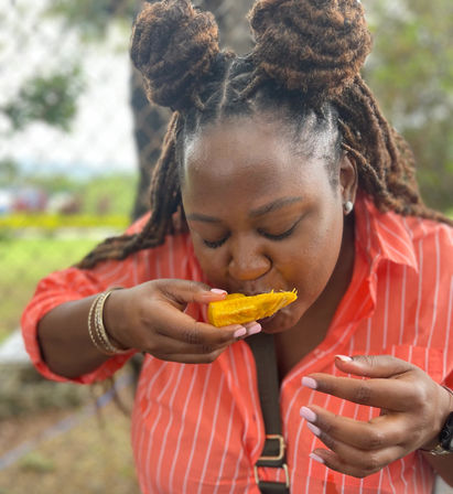 Montego Bay Foodie Tour with City Highlights image 3