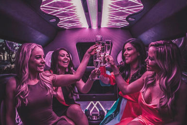 Mini Party Bus One-Way Transportation: Complimentary Champagne, BYOB & More image 16