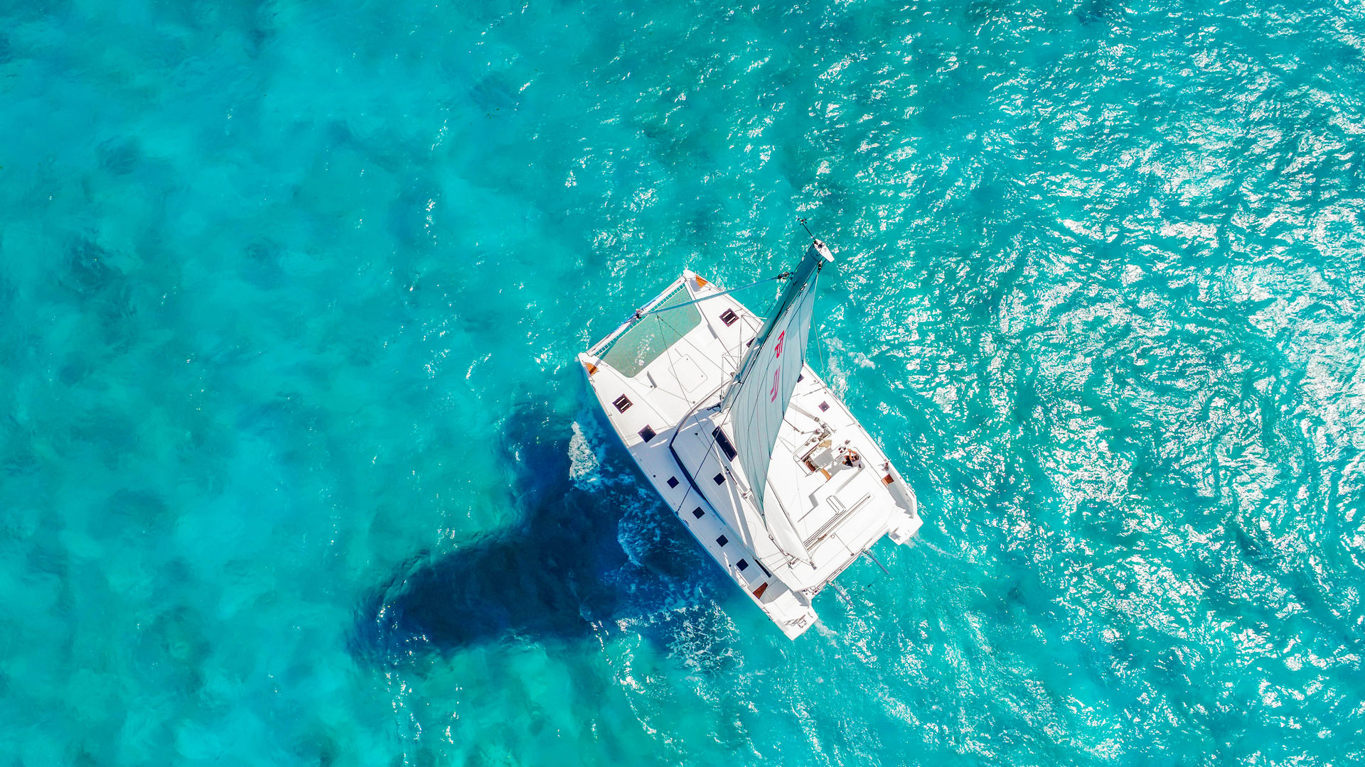 Private & Customizable Catamaran Tour to Isla Mujeres image 1
