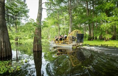 Gators & Good Times: Ragin Cajun Airboat Tour for Bachelorettes & Party Groups image 6