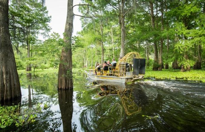 Gators & Good Times: Ragin Cajun Airboat Tour for Bachelorettes & Party Groups image 6