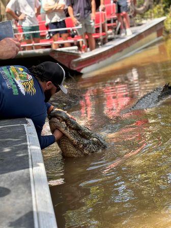 Gators & Good Times: Ragin Cajun Airboat Tour for Bachelorettes & Party Groups image 5