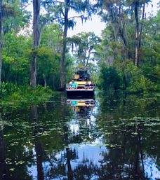 Gators & Good Times: Ragin Cajun Airboat Tour for Bachelorettes & Party Groups image 7