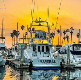 Private Bareboat Yacht Rental in San Diego for Up to 12 Passengers image 22