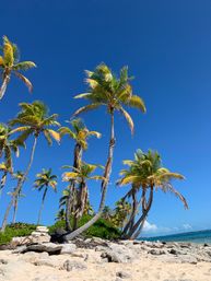 Private Boat Charter with Snorkeling, Beach Break & BYOB image 9