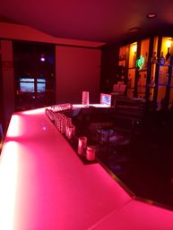 Japanese-Style Private Karaoke Party with VIP Bartender & BYO Food image 5