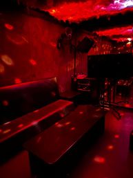 Japanese-Style Private Karaoke Party with VIP Bartender & BYO Food image 3