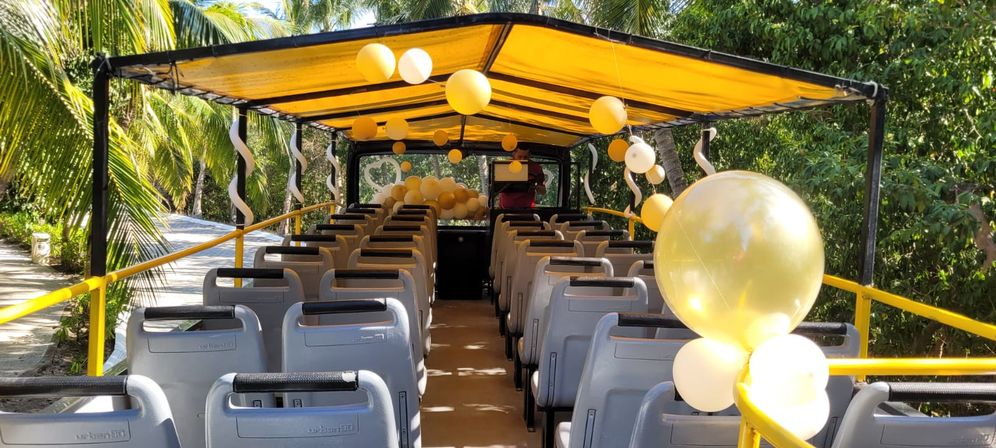 Double Decker Party Bus for Private Events, Transfers & Tours image 11