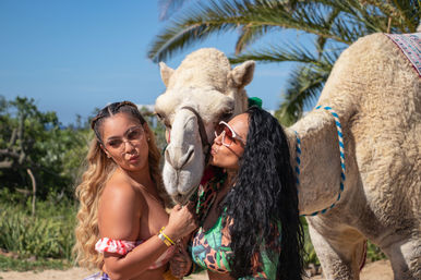 Baja Safari: Beach Camel Ride, Nature Walk, Mexican Buffet Lunch & Tequila Tasting image 24