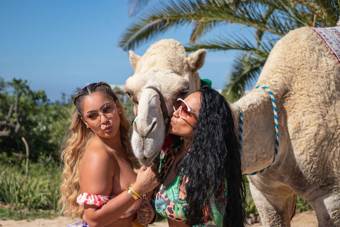 Baja Safari: Beach Camel Ride, Nature Walk, Mexican Buffet Lunch & Tequila Tasting image 24