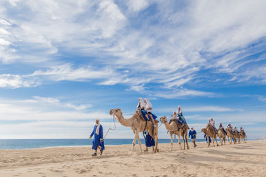 Baja Safari: Beach Camel Ride, Nature Walk, Mexican Buffet Lunch & Tequila Tasting image 9