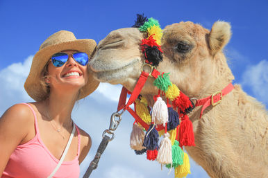Baja Safari: Beach Camel Ride, Nature Walk, Mexican Buffet Lunch & Tequila Tasting image 21