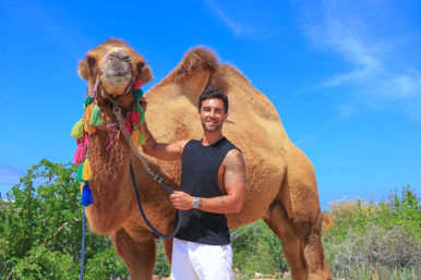 Baja Safari: Beach Camel Ride, Nature Walk, Mexican Buffet Lunch & Tequila Tasting image 26