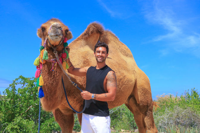 Baja Safari: Beach Camel Ride, Nature Walk, Mexican Buffet Lunch & Tequila Tasting image 26