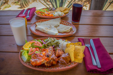 Baja Safari: Beach Camel Ride, Nature Walk, Mexican Buffet Lunch & Tequila Tasting image 18