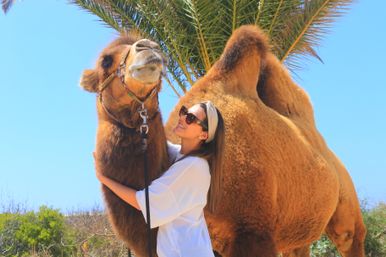 Baja Safari: Beach Camel Ride, Nature Walk, Mexican Buffet Lunch & Tequila Tasting image 25