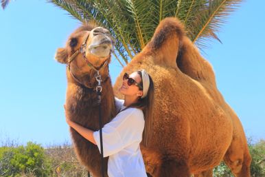 Baja Safari: Beach Camel Ride, Nature Walk, Mexican Buffet Lunch & Tequila Tasting image 24