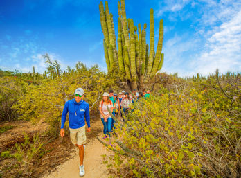 Baja Safari: Beach Camel Ride, Nature Walk, Mexican Buffet Lunch & Tequila Tasting image 13