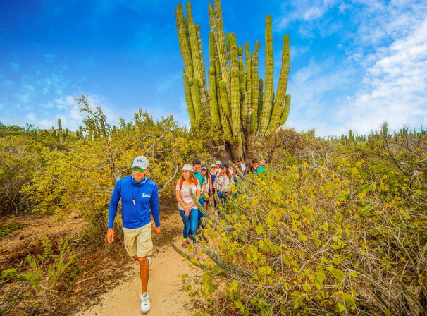 Baja Safari: Beach Camel Ride, Nature Walk, Mexican Buffet Lunch & Tequila Tasting image 12